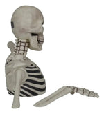 Halloween Esqueleto Gigante 1.5 Mts Ojos Lcd